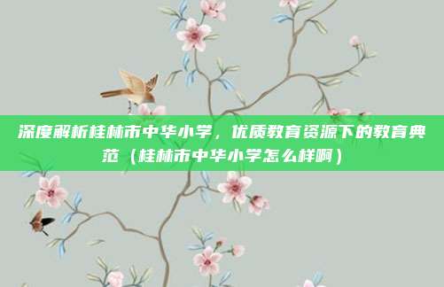 深度解析桂林市中华小学,优质教育资源下的教育典范(桂林市中华小学怎么样啊)