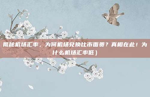 揭秘机场汇率,为何机场兑换比市面贵?真相在此!为什么机场汇率低)