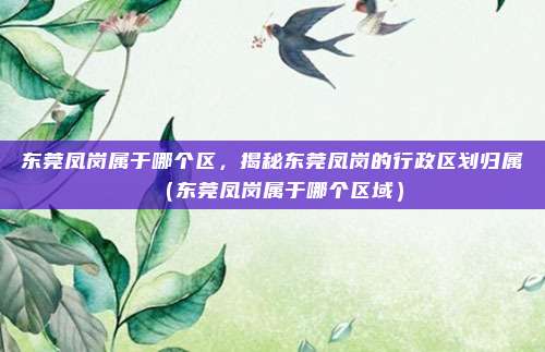 东莞凤岗属于哪个区,揭秘东莞凤岗的行政区划归属(东莞凤岗属于哪个区域)