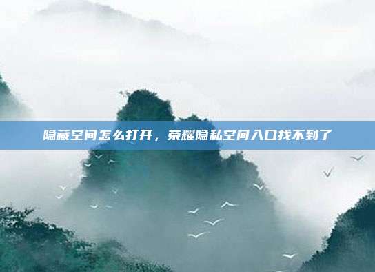 隐藏空间怎么打开，荣耀隐私空间入口找不到了