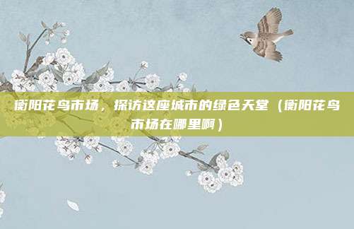 衡阳花鸟市场,探访这座城市的绿色天堂(衡阳花鸟市场在哪里啊)