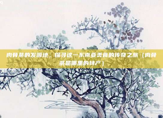 肉骨茶的发源地,探寻这一东南亚美食的传奇之旅(肉骨茶是哪里的特产)