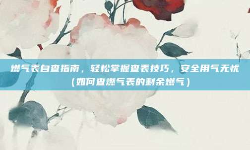 燃气表自查指南,轻松掌握查表技巧,安全用气无忧(如何查燃气表的剩余燃气)
