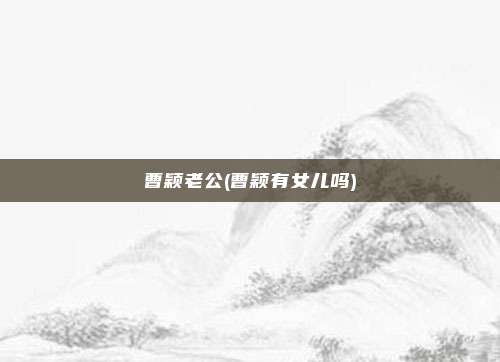 曹颖老公(曹颖有女儿吗)