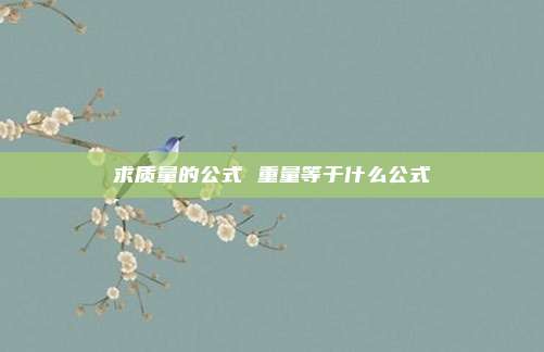 求质量的公式 重量等于什么公式