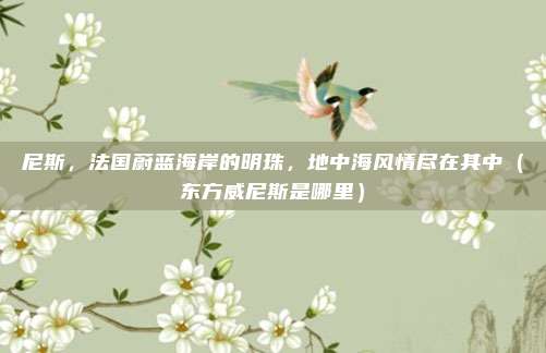 尼斯,法国蔚蓝海岸的明珠,地中海风情尽在其中(东方威尼斯是哪里)