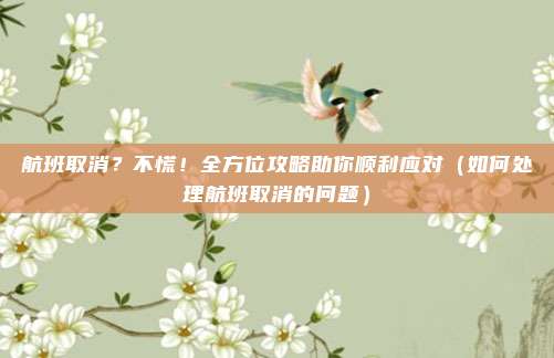 航班取消?不慌!全方位攻略助你顺利应对(如何处理航班取消的问题)