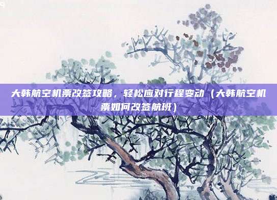 大韩航空机票改签攻略，轻松应对行程变动（大韩航空机票如何改签航班）