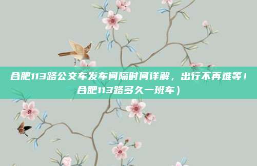 合肥113路公交车发车间隔时间详解,出行不再难等!合肥113路多久一班车)