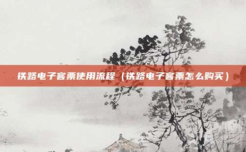 铁路电子客票使用流程（铁路电子客票怎么购买）