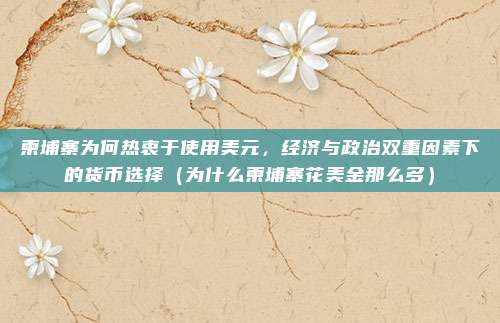 柬埔寨为何热衷于使用美元,经济与政治双重因素下的货币选择(为什么柬埔寨花美金那么多)