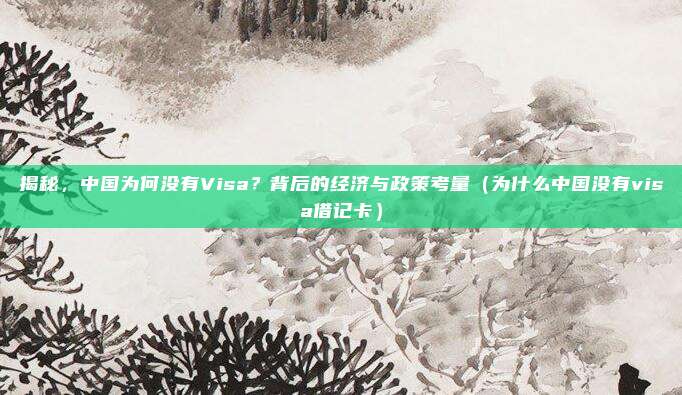 揭秘,中国为何没有Visa?背后的经济与政策考量(为什么中国没有visa借记卡)