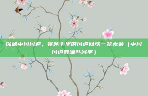 探秘中国国道,穿越千里的国道网络一览无余(中国国道有哪些名字)