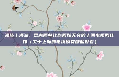 漫步上海滩,盘点那些让你回味无穷的上海电视剧佳作(关于上海的电视剧有哪些好看)