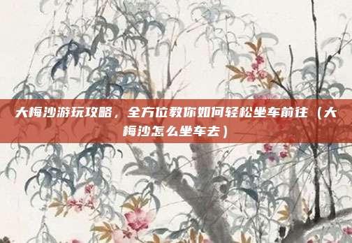 大梅沙游玩攻略,全方位教你如何轻松坐车前往(大梅沙怎么坐车去)