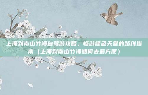 上海到南山竹海自驾游攻略,畅游绿色天堂的路线指南(上海到南山竹海如何去最方便)