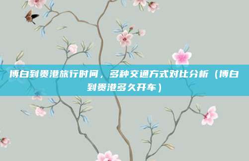 博白到贵港旅行时间,多种交通方式对比分析(博白到贵港多久开车)