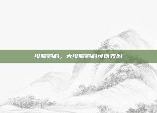 绯胸鹦鹉,大绯胸鹦鹉可以养吗
