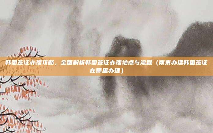 韩国签证办理攻略,全面解析韩国签证办理地点与流程(南京办理韩国签证在哪里办理)