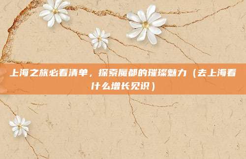 上海之旅必看清单,探索魔都的璀璨魅力(去上海看什么增长见识)