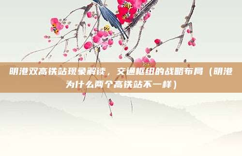 明港双高铁站现象解读,交通枢纽的战略布局(明港为什么两个高铁站不一样)