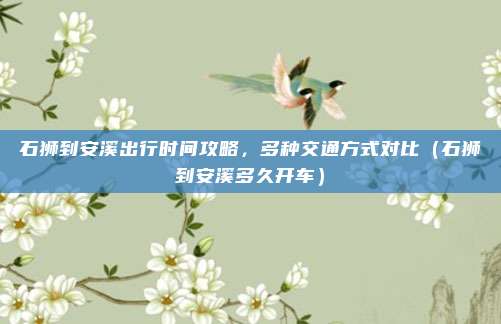 石狮到安溪出行时间攻略,多种交通方式对比(石狮到安溪多久开车)