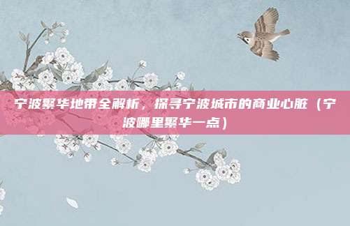 宁波繁华地带全解析,探寻宁波城市的商业心脏(宁波哪里繁华一点)