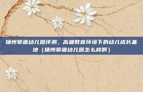 扬州耶鲁幼儿园评测,高端教育环境下的幼儿成长基地(扬州耶鲁幼儿园怎么样啊)