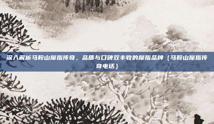深入解析马鞍山摩指传奇，品质与口碑双丰收的摩指品牌（马鞍山摩指传奇电话）