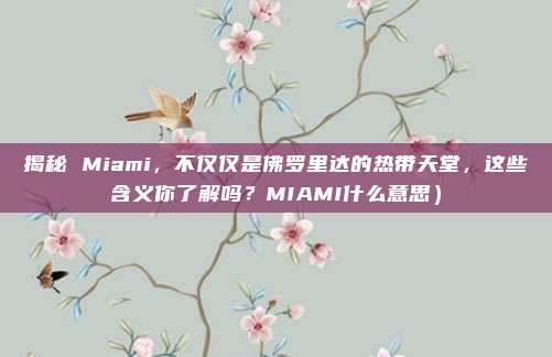 揭秘 Miami,不仅仅是佛罗里达的热带天堂,这些含义你了解吗?MIAMI什么意思)