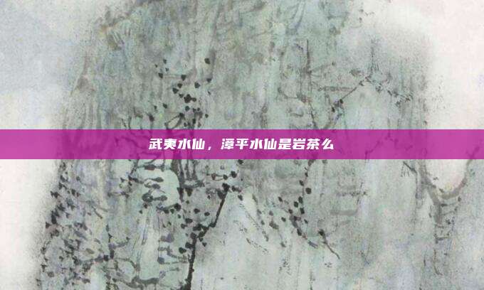 武夷水仙，漳平水仙是岩茶么