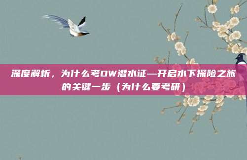 深度解析,为什么考OW潜水证—开启水下探险之旅的关键一步(为什么要考研)