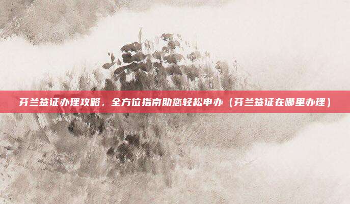 芬兰签证办理攻略,全方位指南助您轻松申办(芬兰签证在哪里办理)