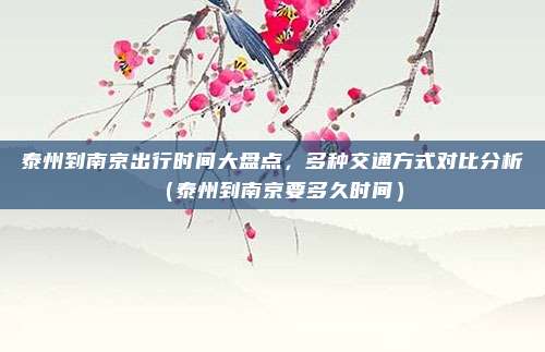 泰州到南京出行时间大盘点,多种交通方式对比分析(泰州到南京要多久时间)
