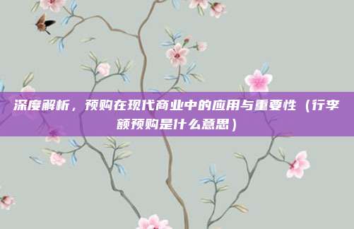 深度解析,预购在现代商业中的应用与重要性(行李额预购是什么意思)