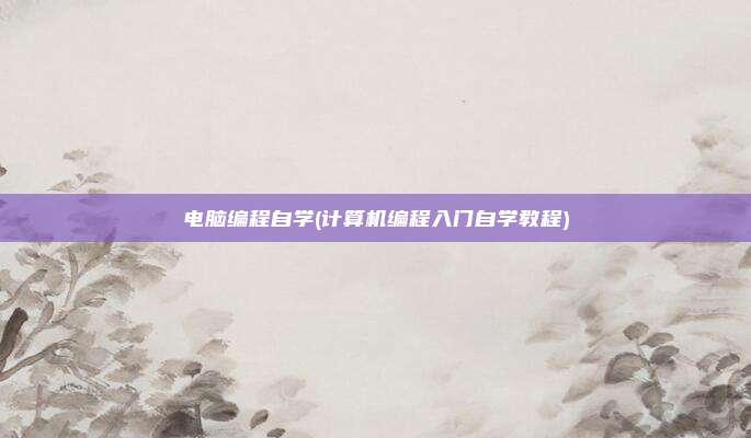 电脑编程自学(计算机编程入门自学教程)