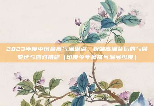 2023年度中国最高气温盘点,极端高温背后的气候变迁与应对措施(印度今年最高气温多少度)