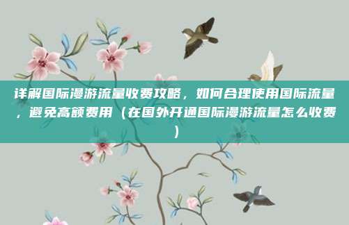 详解国际漫游流量收费攻略,如何合理使用国际流量,避免高额费用(在国外开通国际漫游流量怎么收费)