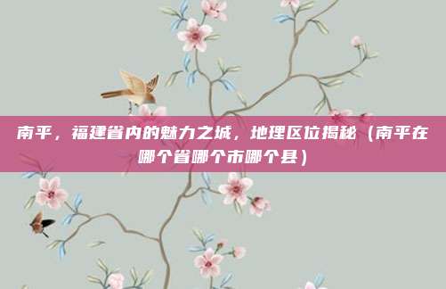 南平,福建省内的魅力之城,地理区位揭秘(南平在哪个省哪个市哪个县)