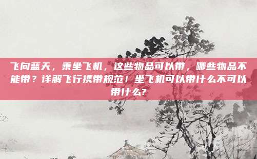 飞向蓝天,乘坐飞机,这些物品可以带,哪些物品不能带?详解飞行携带规范!坐飞机可以带什么不可以带什么?