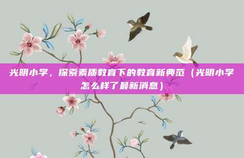 光明小学,探索素质教育下的教育新典范(光明小学怎么样了最新消息)
