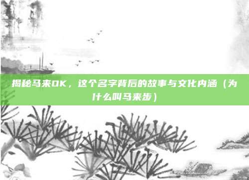 揭秘马来OK,这个名字背后的故事与文化内涵(为什么叫马来步)