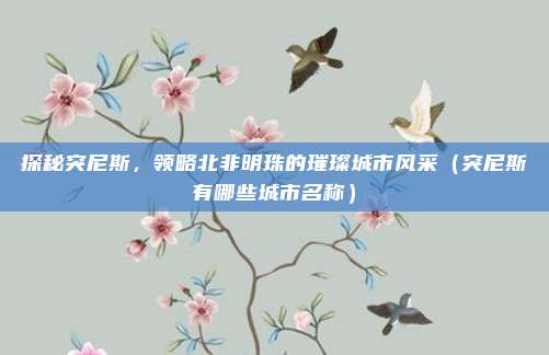 探秘突尼斯，领略北非明珠的璀璨城市风采（突尼斯有哪些城市名称）