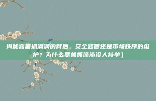 揭秘嘉善抓滴滴的背后,安全监管还是市场秩序的维护?为什么嘉善抓滴滴没人接单)