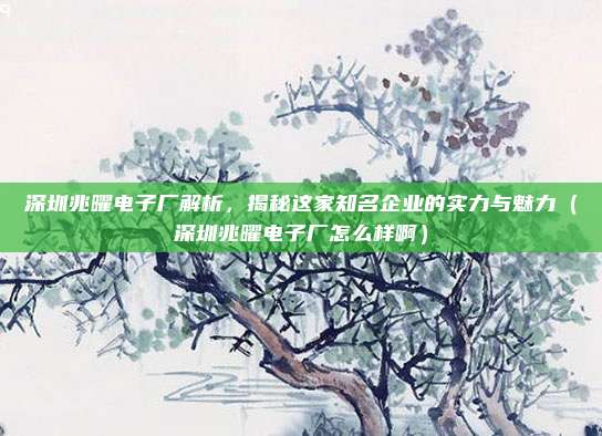 深圳兆曜电子厂解析,揭秘这家知名企业的实力与魅力(深圳兆曜电子厂怎么样啊)