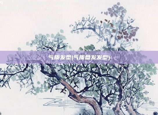 气质发型(气质盘发发型)