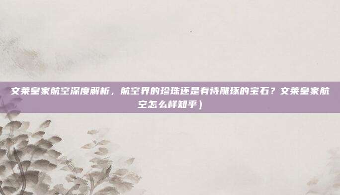 文莱皇家航空深度解析,航空界的珍珠还是有待雕琢的宝石?文莱皇家航空怎么样知乎)