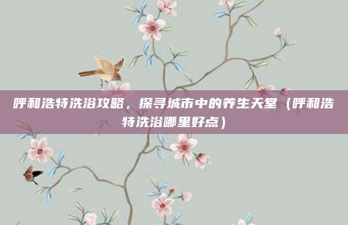 呼和浩特洗浴攻略,探寻城市中的养生天堂(呼和浩特洗浴哪里好点)