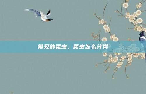 常见的昆虫，昆虫怎么分类
