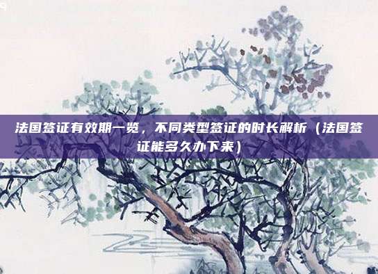 法国签证有效期一览,不同类型签证的时长解析(法国签证能多久办下来)